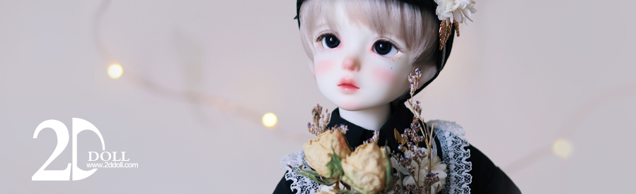 2ddoll